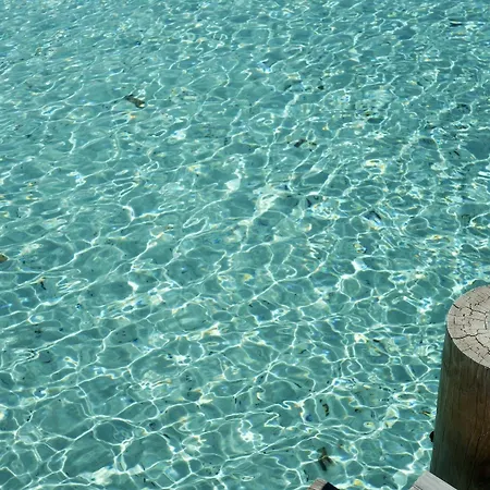 Santa Giulia, Vue Panoramique Sur La Mer, 900 M De La *